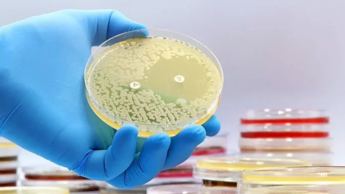 Scientist discover antibiotics